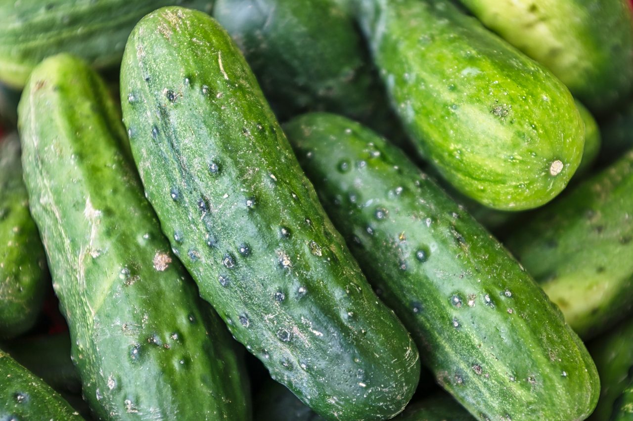 It Started With a Pickle.